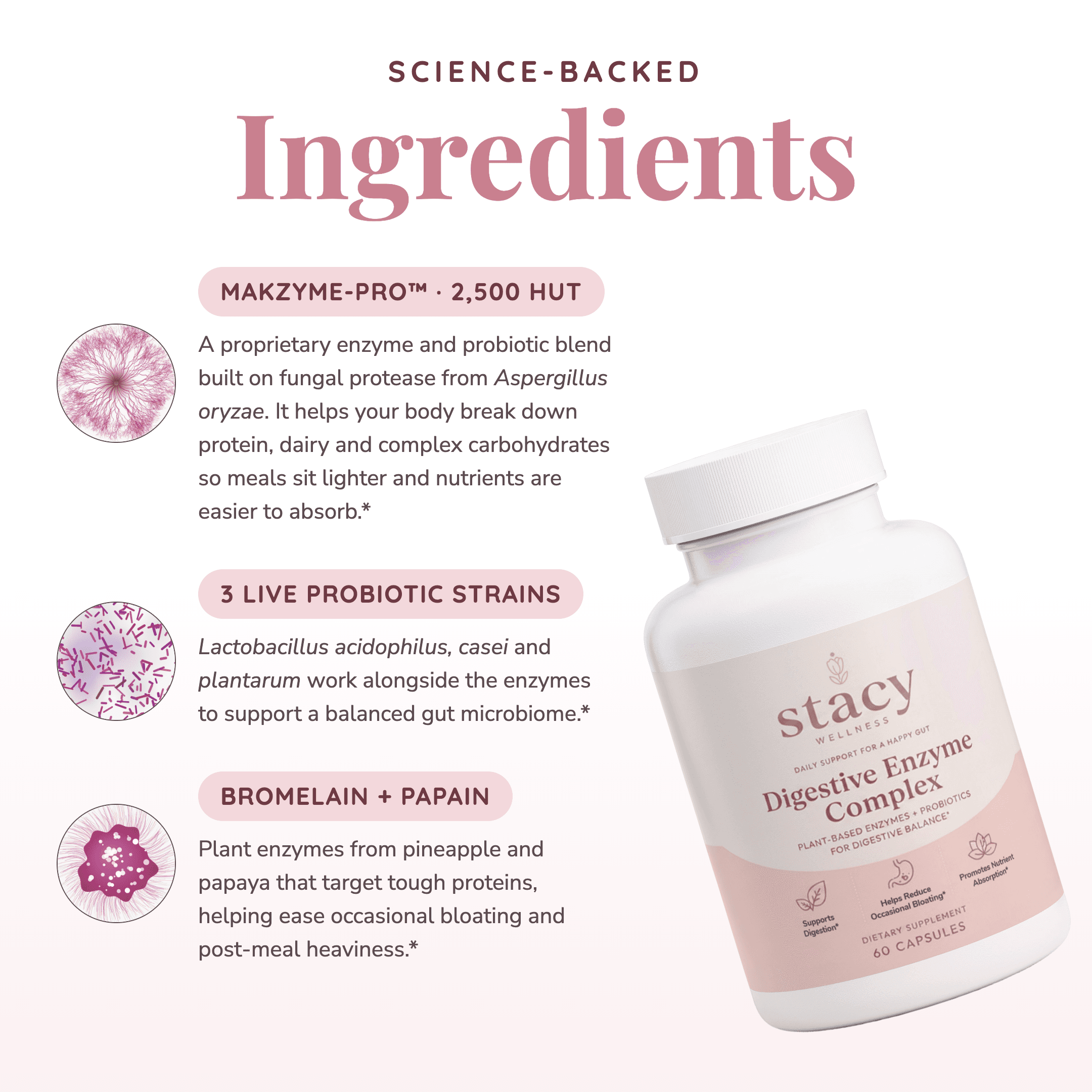 Stacy Digestive Enzyme Complex 2